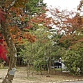 2008日本東北秋旬  青葉城跡(紅葉)