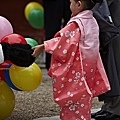 2008日本東北秋旬  105-鹽竈神社參加七五三祭的小女孩.jpg