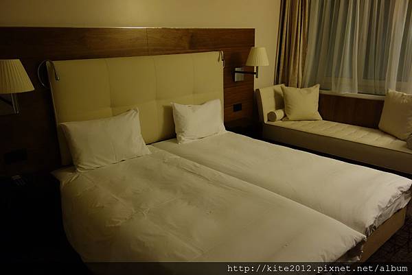 20121203瑞_盧森_Astoria Hotel (15)