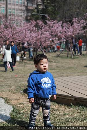 20150215_玻璃藝術館 (104).JPG