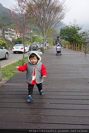 20150228_內灣 (48).JPG