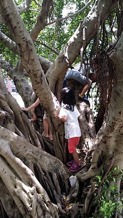 20160616_115357.jpg 20160616_115357.jpg