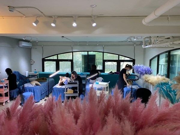 桃園霧眉 桃園霧眉