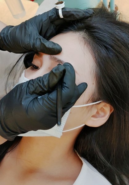 桃園紋眉 桃園紋眉