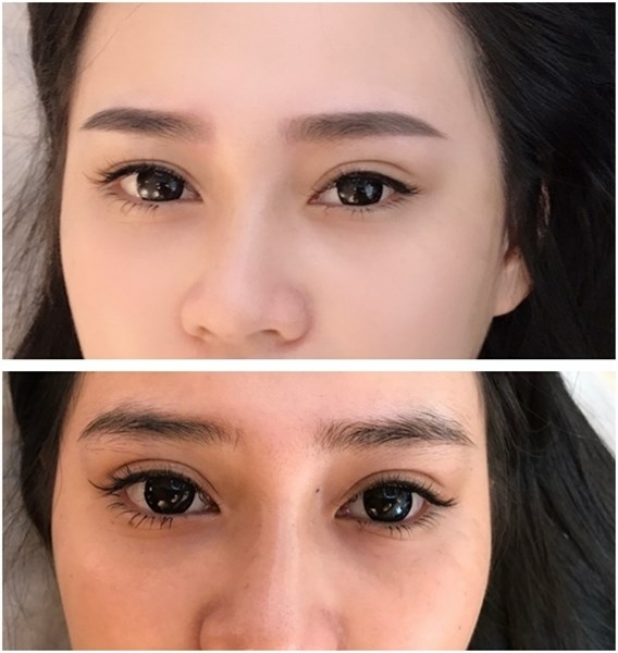 桃園繡眉 桃園繡眉