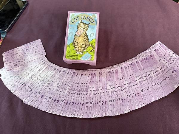 46A0589F-411D-4D7A-8258-D811C1349FCF.jpg 46A0589F-411D-4D7A-8258-D811C1349FCF.jpg