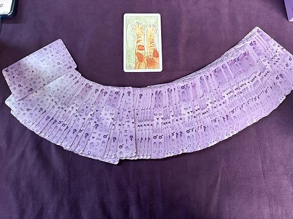 319491E2-6F21-4109-9CAB-798BF9963C37.jpg 319491E2-6F21-4109-9CAB-798BF9963C37.jpg