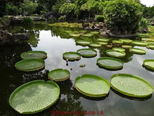 DSC03631_調整大小