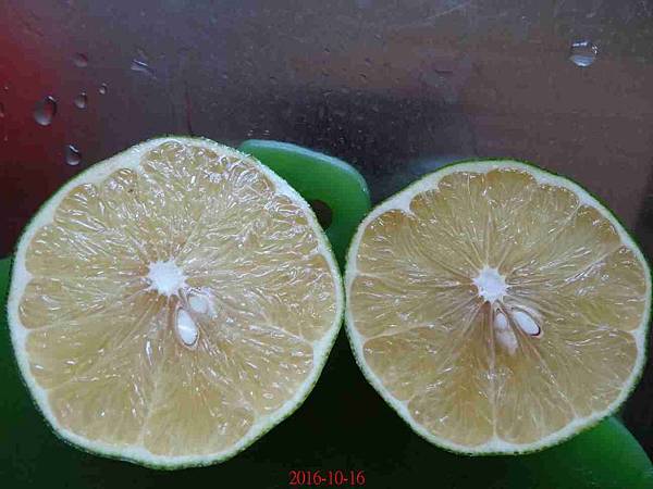 DSC06874.JPG DSC06874.JPG