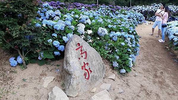 1559655059156.jpg 1559655059156.jpg