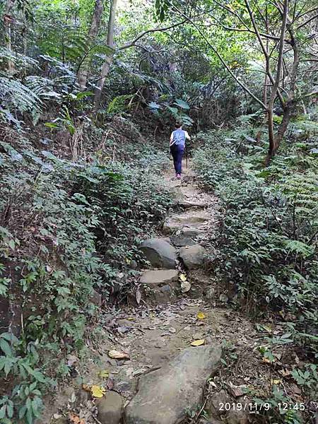 2019119三峽鳶山彩壁_191115_0090.jpg