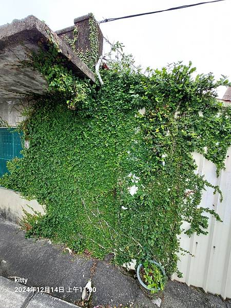 LINE_ALBUM_20241214頭城一日遊_241224_136.jpg LINE_ALBUM_20241214頭城一日遊_241224_136.jpg