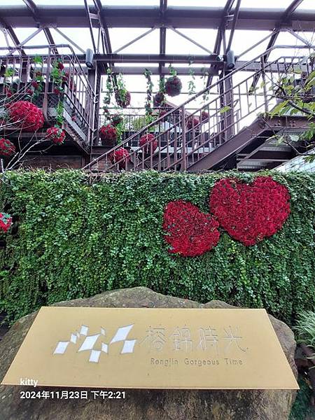 【台北】榕錦時光→迪化街→寧夏夜市