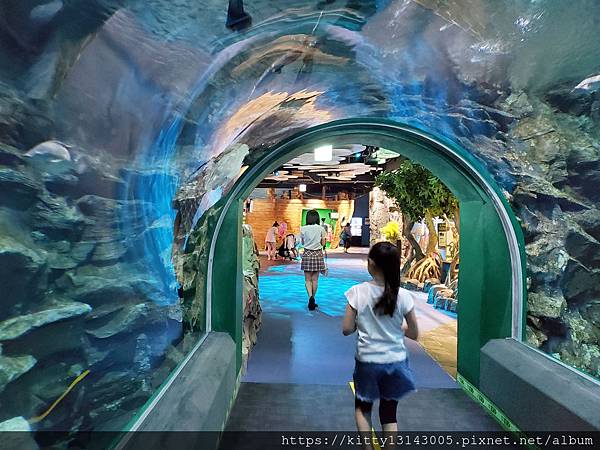 樂天水族館+樂天世界