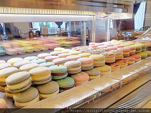 清州咖啡廳 韓國咖啡廳 韓國自由行 韓國行程 韓國下午茶 韓國馬卡龍 비올라 Viola