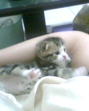 IMG0220A.jpg