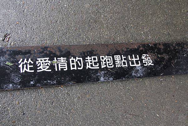 DPP_041.JPG DPP_041.JPG