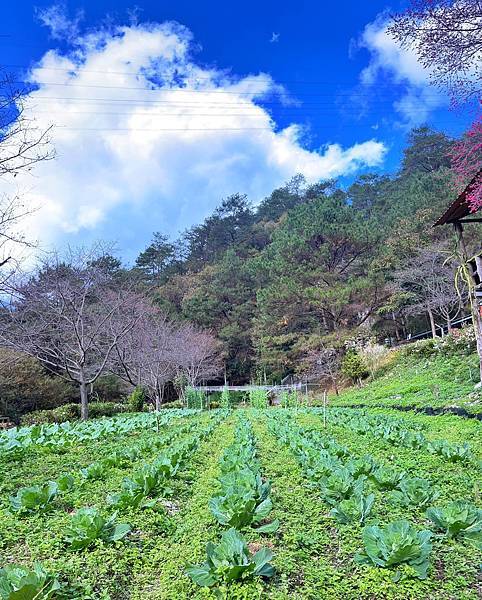 臺中市新生命戒癮成長協會-【好山 好水 好空氣】