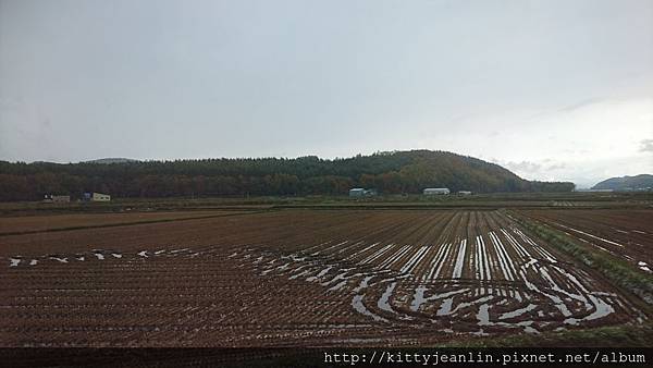 在JR美馬牛站玩雪