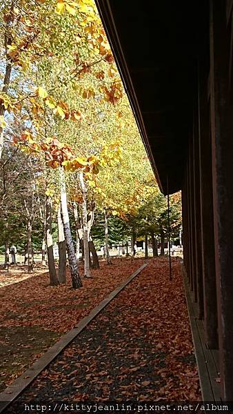 國營瀧野鈴蘭丘陵公園-午餐