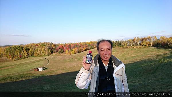 瀧野鈴蘭丘陵公園-大草坪