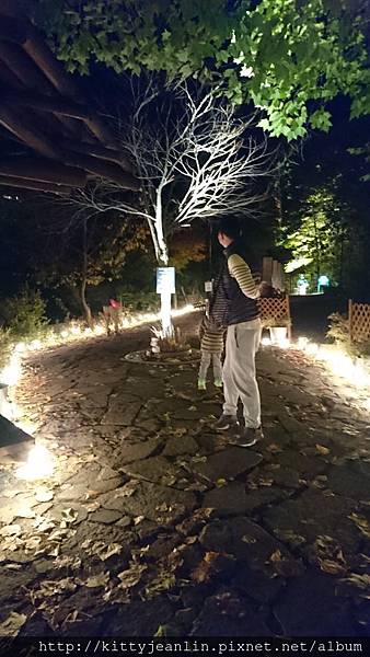 北海道樂桃陶 17賞楓趣 定山溪自然光之盛典 Jozankei Nature Luminarie Star Bright Forest By Naked 林小珍的拾穗生活 痞客邦