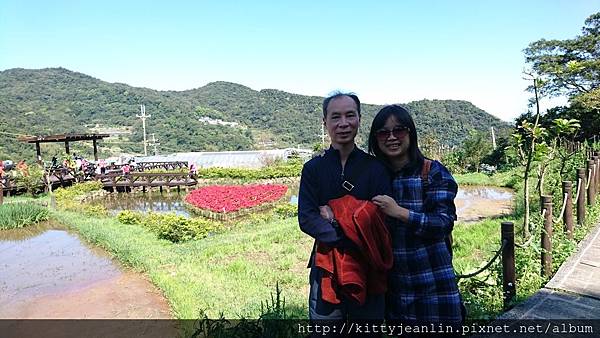 內湖白石湖吊橋&貴月農場採草莓趣