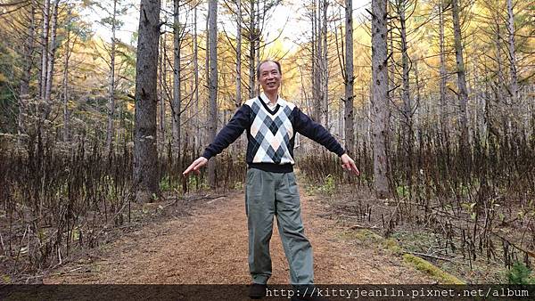 洞爺湖中島包場尋找蝦夷鹿