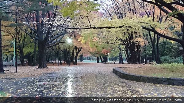 円山公園&北海道神宮