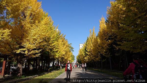 札幌中島公園