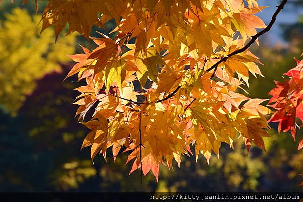 札幌中島公園