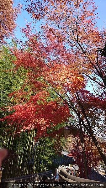 韓國國寶寺廟-金井山梵魚寺