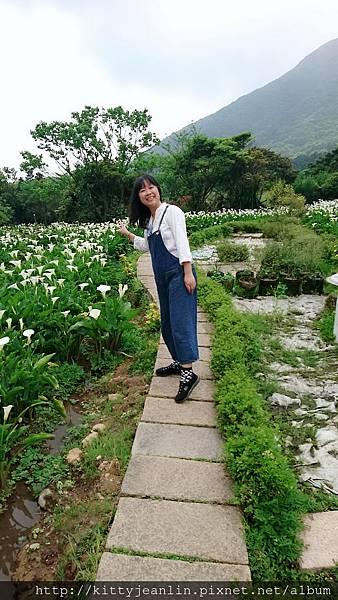 竹子湖苗榜花園餐廳