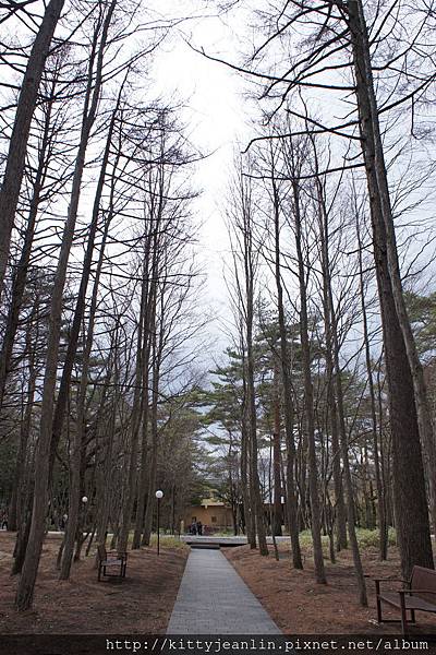 來去輕井澤星野區逛逛