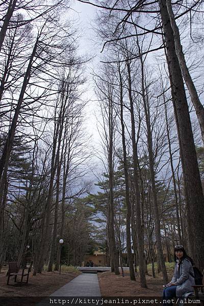 來去輕井澤星野區逛逛