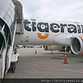 台灣虎航tigerair