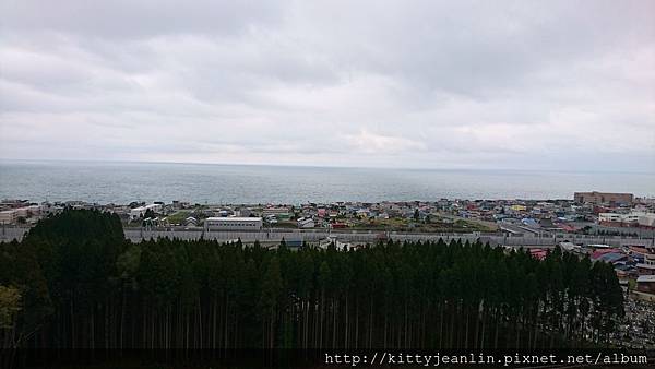 藥師山%26;綠地公園櫻並木