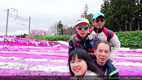 札苅村上芝櫻園