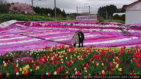 札苅村上芝櫻園