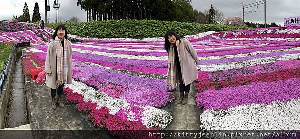 札苅村上芝櫻園