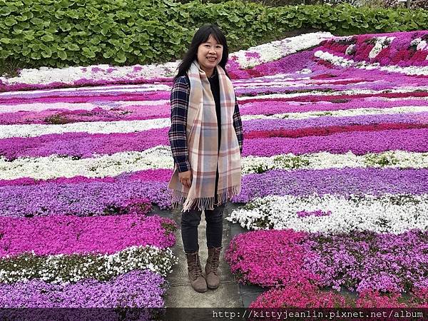 札苅村上芝櫻園