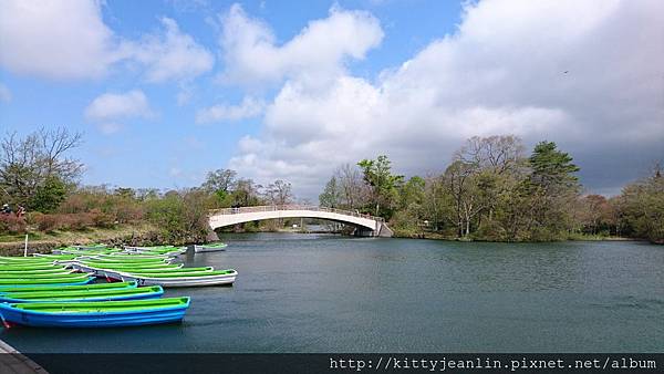 大沼公園騎車兜風趣