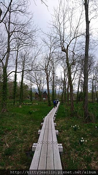 大沼公園騎車兜風趣