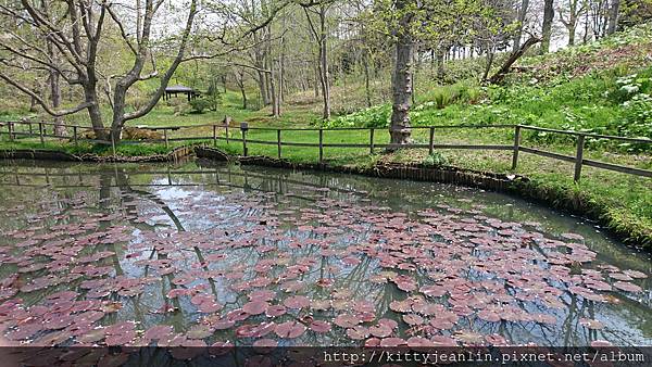 市民の森公園-暫代花仙子出輯