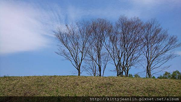 市民の森公園-暫代花仙子出輯