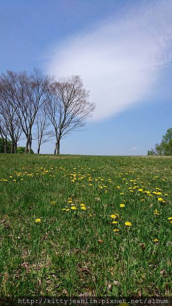 市民の森公園-暫代花仙子出輯