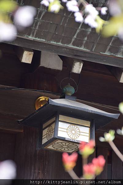北海道神宮-有櫻謀