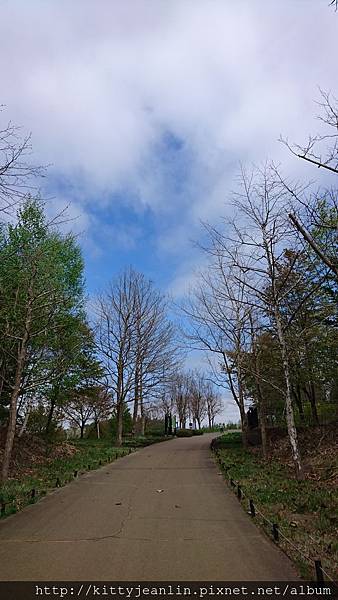 瀧野鈴蘭丘陵公園-賞花趣(手機篇)