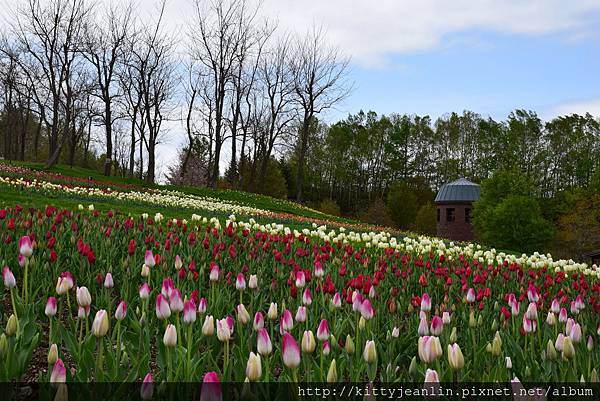 国営滝野すずらん丘陵公園