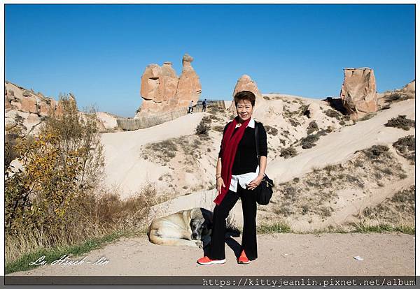 駱駝岩Camel Rock